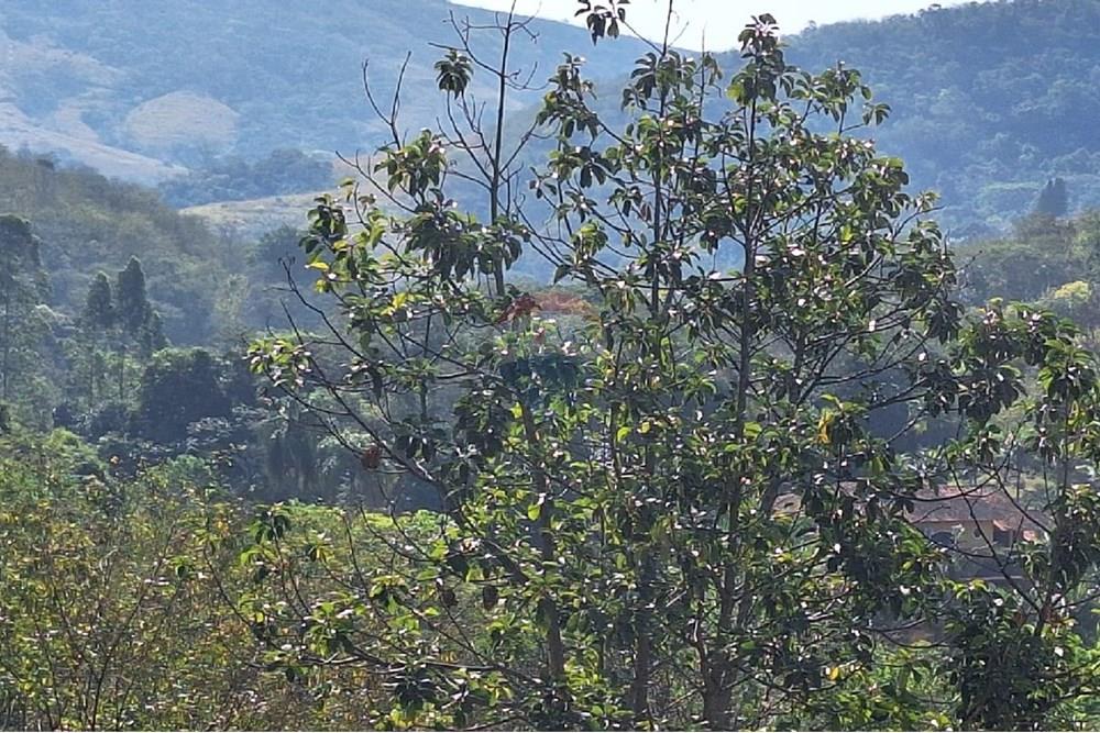 Chácara / Sítio / Fazenda - Venda - Rio de Janeiro , Rio de Janeiro - 16.jpg - 680331011-128