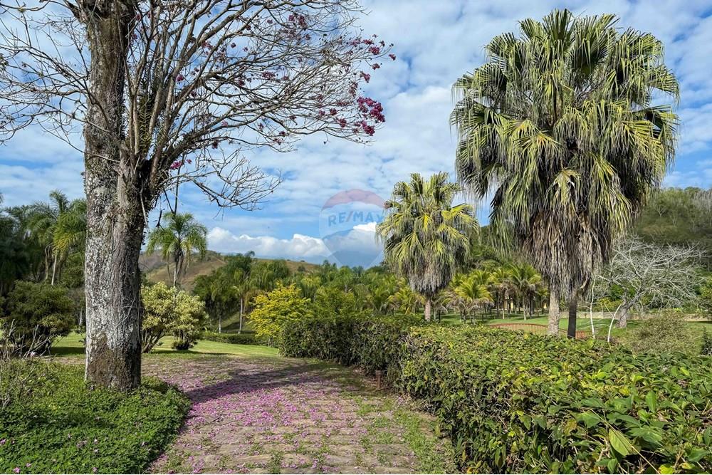 Chácara / Sítio / Fazenda - Venda - Bananal , São Paulo - Foto (77).jpg - 680291006-268