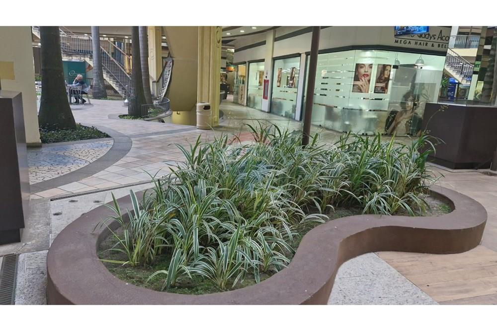 Cj. Comercial/ Sala - Venda - Rio de Janeiro , Rio de Janeiro - IMG-20240815-WA0093.jpg - 680321038-16