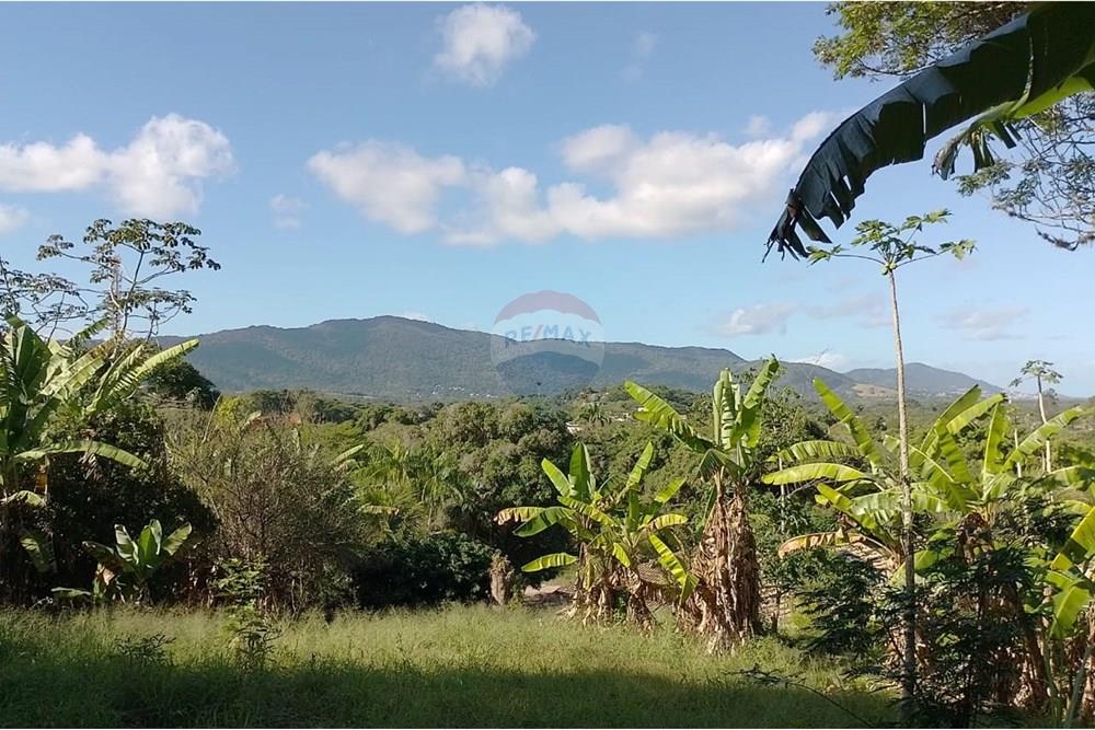 Terreno à venda, 2729m² - Foto 7