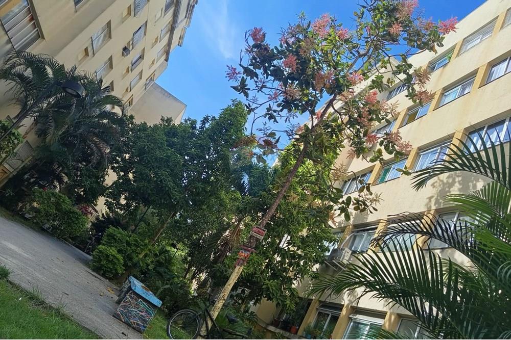 Apartamento - Venda - Rio de Janeiro , Rio de Janeiro - WhatsApp Image 2025-04-30 at 06.30.50.jpeg - 680311037-17