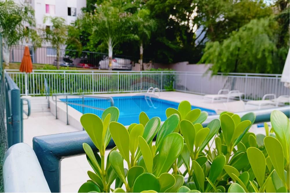 Apartamento - Venda - Rio de Janeiro , Rio de Janeiro - 31.jpg - Piscina - 680331006-289