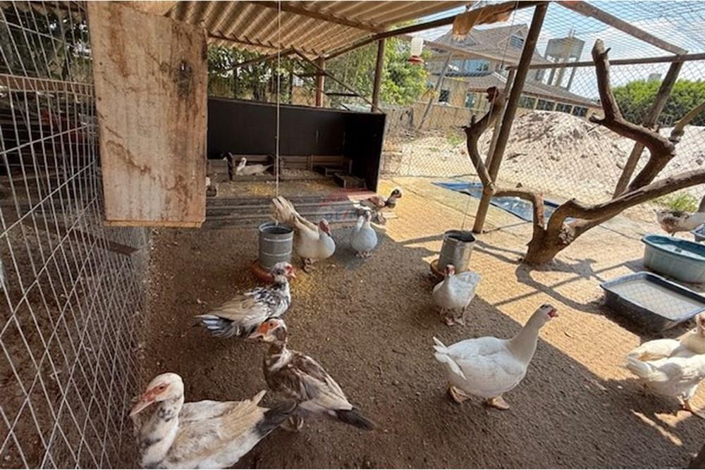 Casa de Condomínio - Venda - Rio de Janeiro , Rio de Janeiro - IMG_3665.jpg - 680211016-61