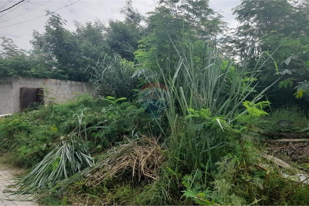 Terreno - Venda - Rio de Janeiro , Rio de Janeiro - foto terreno3.jpg - 680331009-412