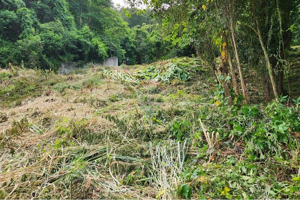 Terreno - Venda - Rio de Janeiro , Rio de Janeiro - 20.jpg - 680321010-129