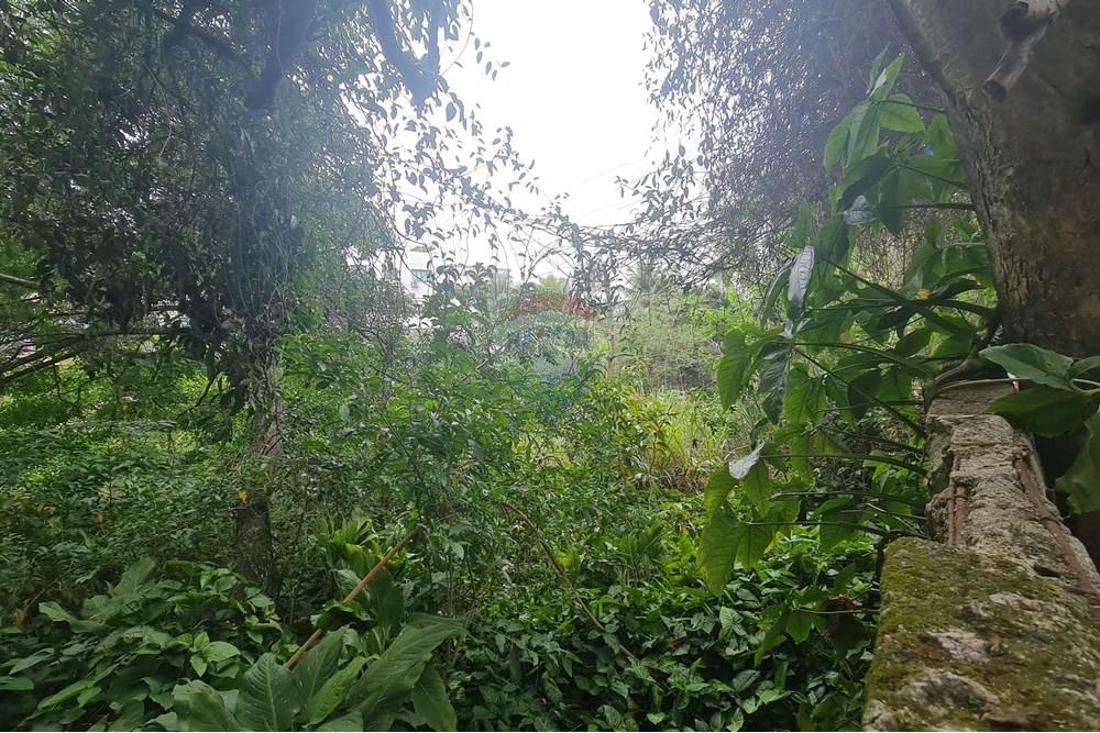 Terreno - Venda - Rio de Janeiro , Rio de Janeiro - 20251214_114350.jpg - 680241037-111