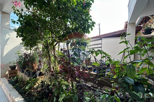 Slider Image Thumbnail