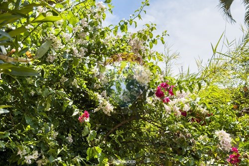 Slider Image Thumbnail