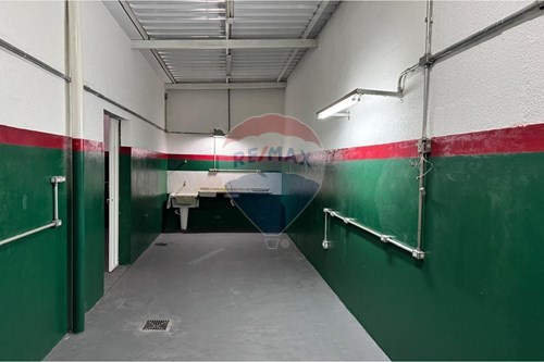 Alugar-Galpão-Jardim Myrian Moreira da Costa , Campinas , São Paulo , 13098404-690331002-103