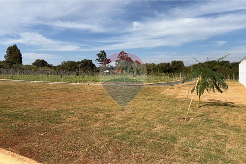 Venda-Terreno-Rodovia Jornalista Francisco Aguirre Proença , 843  - Jardim Monte Verde , Monte Mor , São Paulo , 13197141-691181031-15