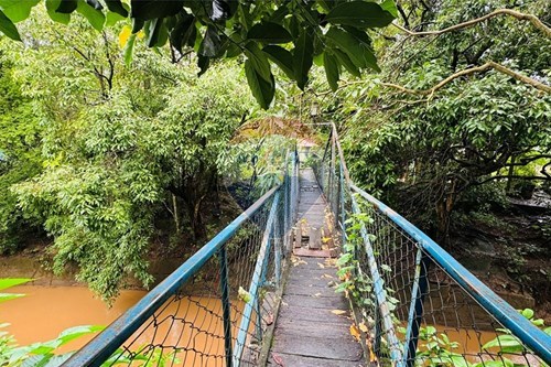 Slider Image Thumbnail