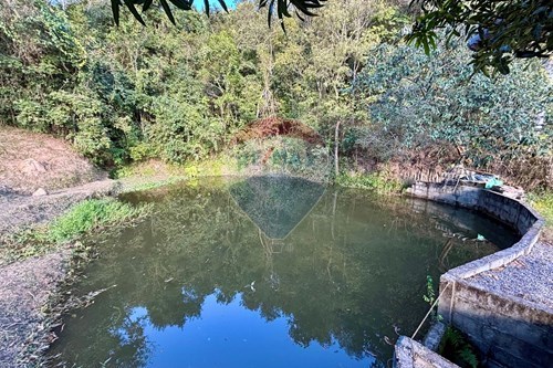 Venda-Chácara / Sítio / Fazenda-Estrada Municipal Solange Rodrigues Spinassi , sn  - Jardim Paraíso da Usina , Atibaia , São Paulo , 12952-427-690661027-125