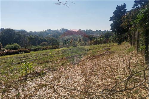 For Sale-Farm-Rua Vinte e Quatro R CR Vale Verde , 91  - Jardim Lagoa Nova , Limeira , São Paulo , 13489-400-690741001-55