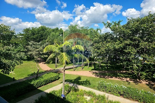 Slider Image Thumbnail