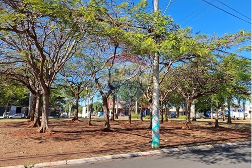 Slider Image Thumbnail