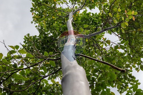 Slider Image Thumbnail