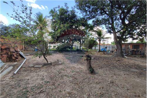 Terreno - Venda - Nova Odessa , São Paulo - 6 - 690641010-590