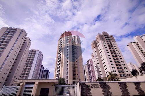 Alugar-Apartamento-Rua Jasmin , 250  - Fazenda Santa Cândida , Campinas , São Paulo , 13087460-690681170-33