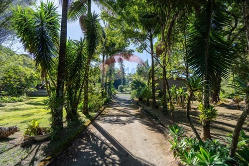 Venda-Chácara / Sítio / Fazenda-Estrada Hugo Picchi , 1440  - Santo Antonio , Louveira , São Paulo , 13294670-690051029-91