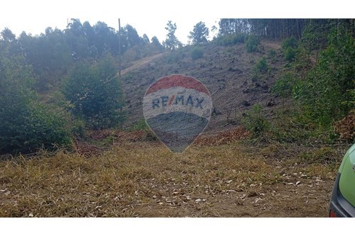 Venda-Terreno-Centro , Socorro , São Paulo , 13960-000-690041008-23