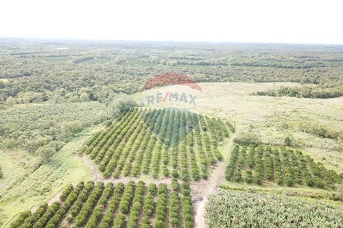 Venda-Fazenda-Centro , Pariquera-Açu , São Paulo , 11930000-690061037-26