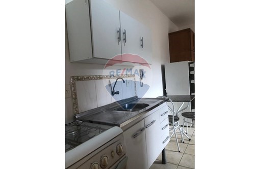 Alugar-Apartamento-Barão Geraldo , Campinas , São Paulo , 13084200-690331002-261