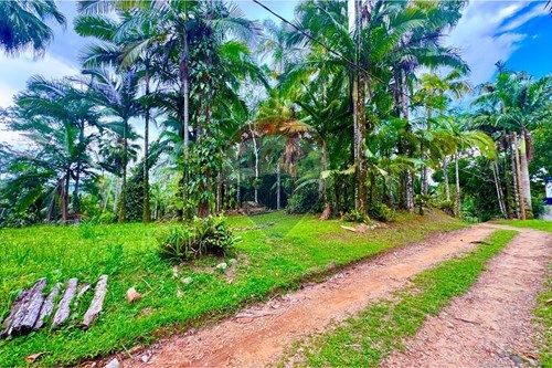 Venda-Terreno-Estância São José , Peruíbe , São Paulo , 11750000-691111009-61