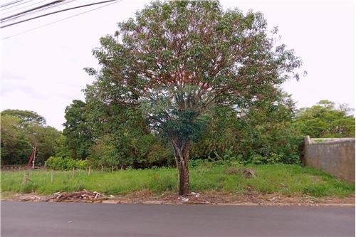 Venda-Terreno-Rua Amabile Mantovani Guarnieri , Lote D  - Próximo Restaurante Beliscão  - Jardim Santa Cruz , Mogi Mirim , São Paulo , 13806-252-690751048-9