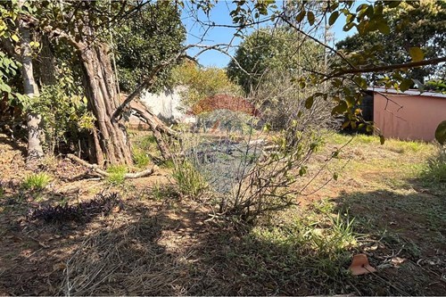 Venda-Terreno-Maracanã , Jarinu , São Paulo , 13240000-691121001-12