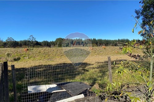 Venda-Terreno-Água Comprida , Bragança Paulista , São Paulo , 12918057-690141091-97