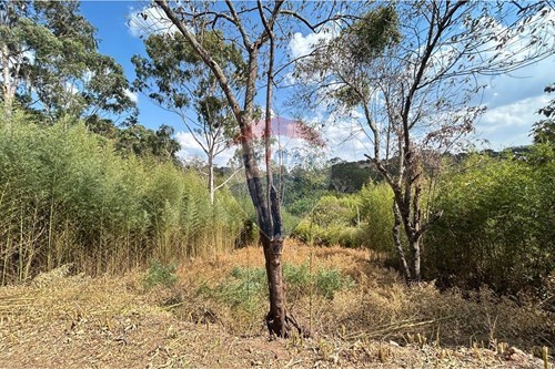 Venda-Terreno-rUA MARIA DA CONCEIÇÃO SANTOS BORTOLETTO , 0  - JARDIM DAS PAINEIRAS  - Jardim das Paineiras , Itatiba , São Paulo , 13252213-691131015-38