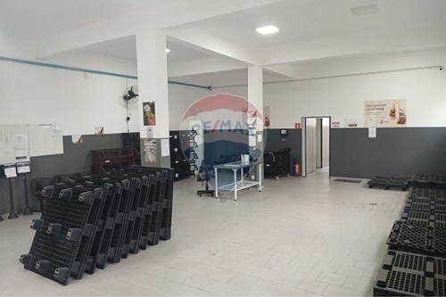 Alugar-Ponto Comercial-Vila Pompéia , Campinas , São Paulo , 13050451-690681003-15