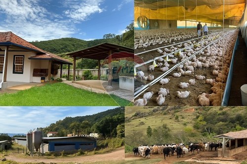 Venda-Chácara / Sítio / Fazenda-Guaripocaba , Bragança Paulista , São Paulo , 12902991-690141085-32