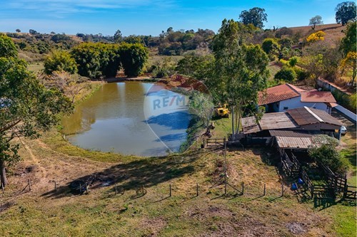 Venda-Chácara / Sítio / Fazenda-Estrada Municipal Gumercindo Brull , s/n  - Centro , Santa Cruz da Conceição , São Paulo , 13625899-690481001-177