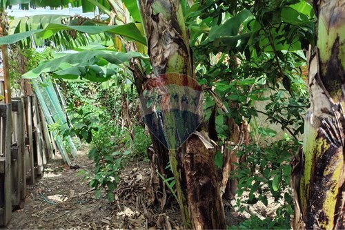 Slider Image Thumbnail