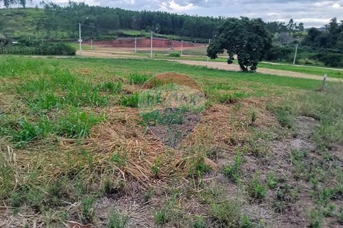 Venda-Terreno-Área Rural de Itapira , Itapira , São Paulo , 13974632-690751048-3