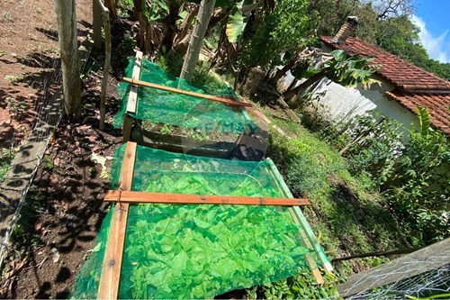 Slider Image Thumbnail