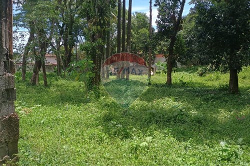 Venda-Terreno-Avenida Walkir Vergani , 0  - Boiçucanga , São Sebastião , São Paulo , 11618107-690991070-2