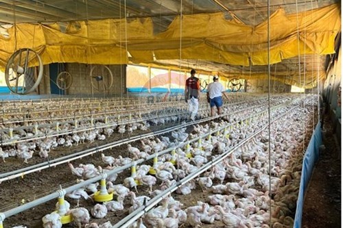 Slider Image Thumbnail