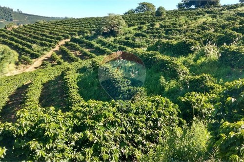 Venda-Chácara / Sítio / Fazenda-Rodovia São Sebastião da Grama a Divinolândia, km3 , SN  - Centro , São Sebastião da Grama , São Paulo , 13790000-690681090-50