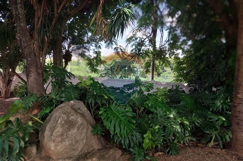 Slider Image Thumbnail