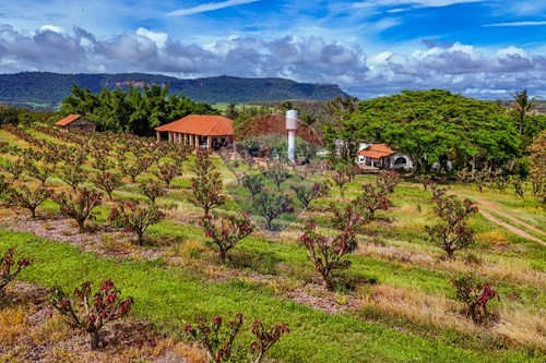 Slider Image Thumbnail