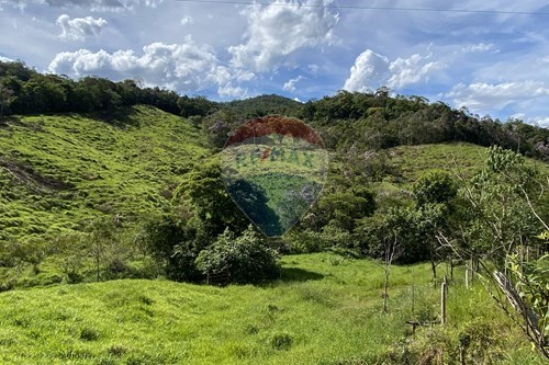 Venda-Fazenda-Centro , Jacupiranga , São Paulo , 11940000-690061038-17