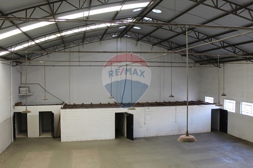 Alugar-Galpão-Matadouro , Bragança Paulista , São Paulo , 12910320-690041127-124