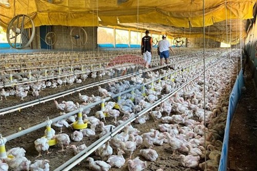 Slider Image Thumbnail