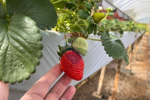 Slider Image Thumbnail