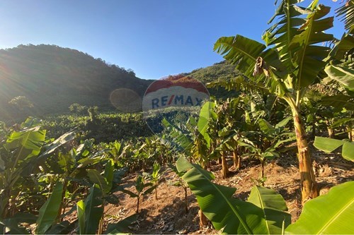 Venda-Fazenda-Estrada dos Moraes , S/N  - Centro , Miracatu , São Paulo , 11950000-690061038-15