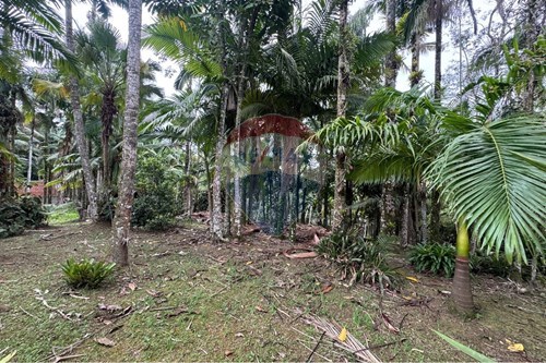 Venda-Terreno-Estância São José , Peruíbe , São Paulo , 11750000-691111006-62