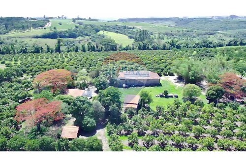 Venda-Fazenda-Rodovia SP 225, km 60 , s/n  - Centro , Analândia , São Paulo , 13550000-690691016-305