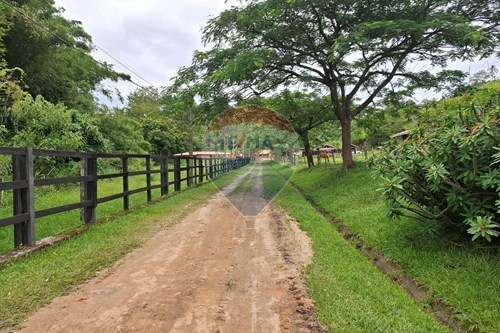 Venda-Chácara / Sítio / Fazenda-Centro (Arcadas) , Amparo , São Paulo , 13908000-690681090-49